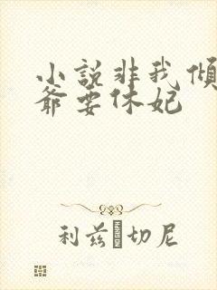 小说非我倾城王爷要休妃