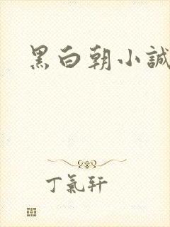 黑白朝小诚