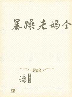 暴躁老妈全集封面