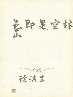 色即是空林媛小正