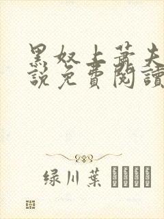黑奴上萧夫人小说免费阅读