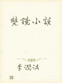 双镜小说