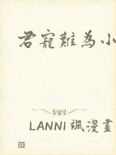 君宠难为小说