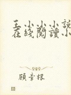 王小小小说全文在线阅读小说