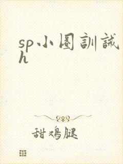 sp小圈训诫文h