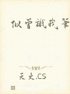 似曾识我笔趣阁