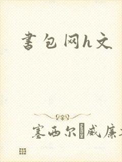 书包网h文封面