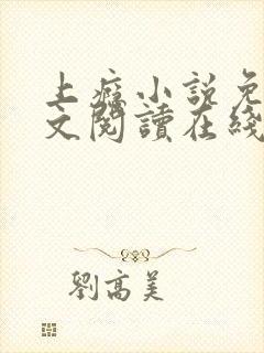 上瘾小说免费全文阅读在线封面