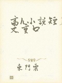 高h小说短篇辣文重口