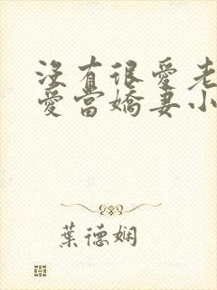 没有很爱老公但爱当娇妻小说