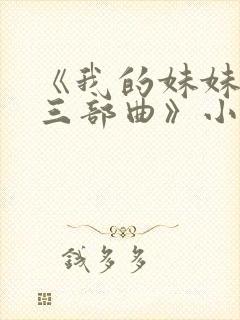 《我的妹妹若嘉三部曲》小说小阿姨封面