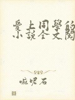 爱上同学的妈妈小说全文阅读