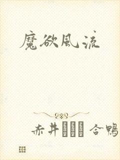 魔欲风流封面
