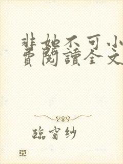 非她不可小说免费阅读全文