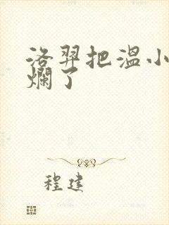 洛羿把温小辉做烂了封面