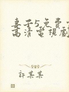 妻子5免费完整高清电视剧
