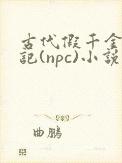 古代假千金挨日记(npc)小说封面