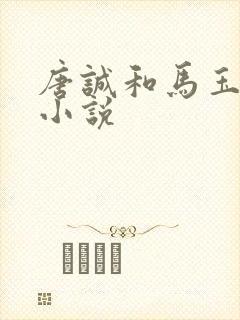 唐诚和马玉婷的小说