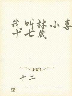 我叫林小喜今年十七岁封面