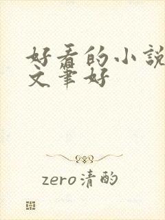 好看的小说言情文笔好