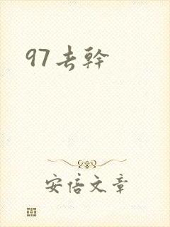 97去干封面