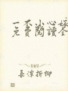 一不小心嫁总裁免费阅读全文封面