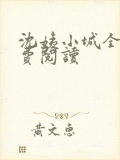 沈姨小城全文免费阅读封面