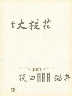 t大校花
