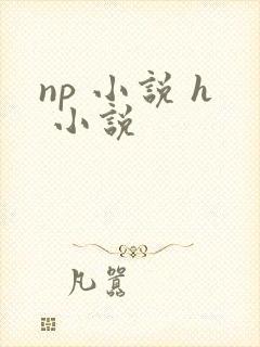 np 小说 h 小说