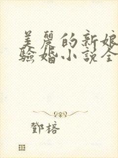 美丽的新娘阿龟验婚小说全文阅读封面