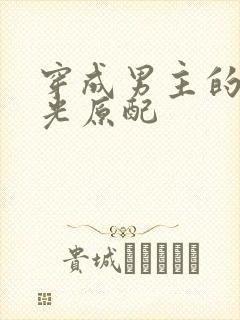 穿成男主的白月光原配
