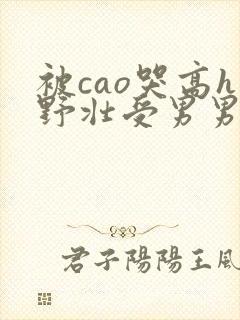 被cao哭高h野壮受男男视频封面