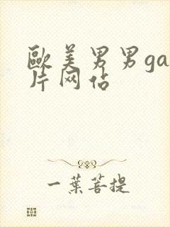 欧美男男gay片网站