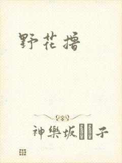 野花撸