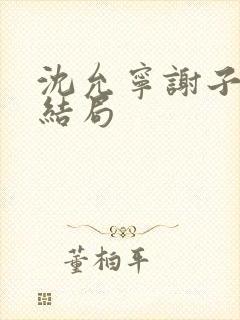 沈允宁谢子寻大结局封面