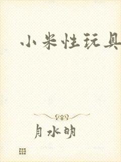 小米性玩具日记