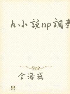 h小说np调教封面