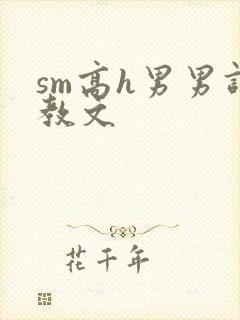 sm高h男男调教文