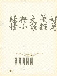 经典文笔好的言情小说推荐封面