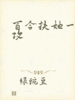 百合扶她一受多攻