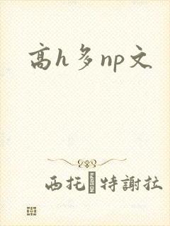 高h多np文