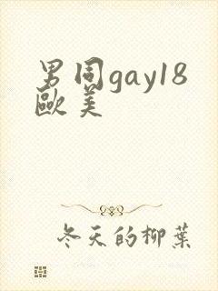 男同gay18欧美