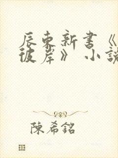 辰东新书《深空彼岸》 小说怎么样封面