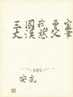 三国我曹家长子大汉慈父笔趣阁封面
