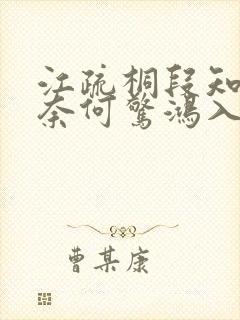 江疏桐段知许《奈何惊鸿入我心》免费封面