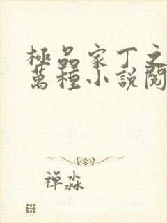 极品家丁之风情万种小说阅读无弹窗