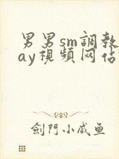 男男sm调教gay视频网站