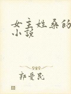 女主姓桑的现代小说封面