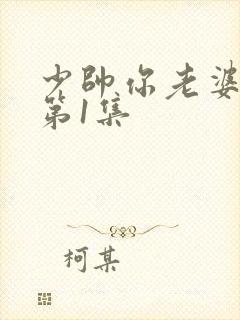 少帅你老婆又跑第1集