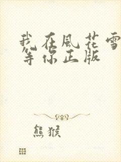 我在风花雪月中等你正版